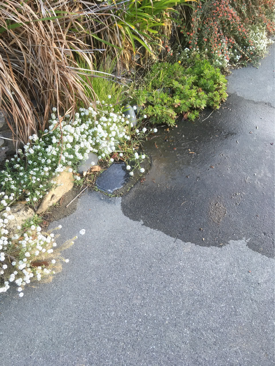 The photograph attached to this water supply report