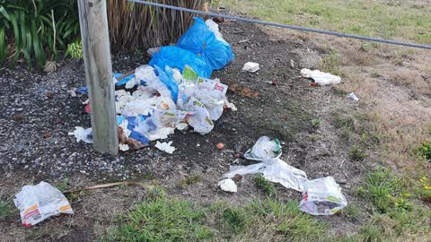 Rubbish/Recycling, a report photo