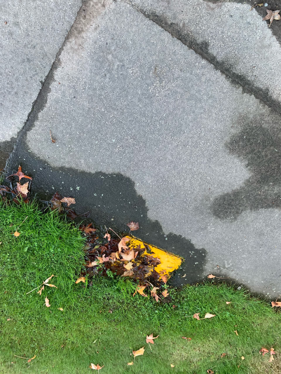 The photograph attached to this water supply report