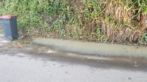 Roading/Streets, a report photo