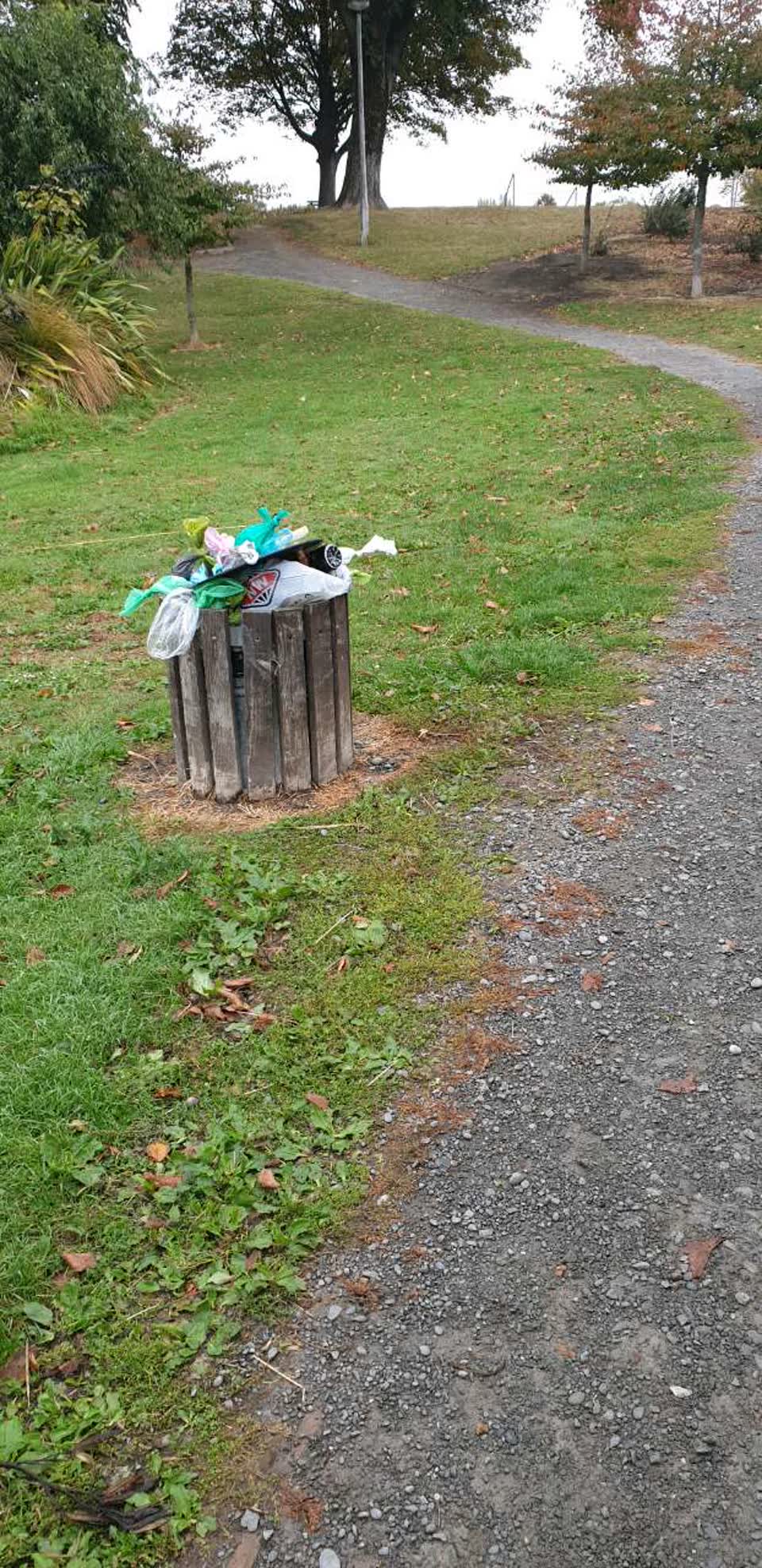 The photograph attached to this rubbish/recycling report