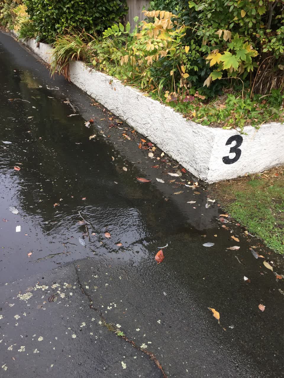 The photograph attached to this wastewater/stormwater report
