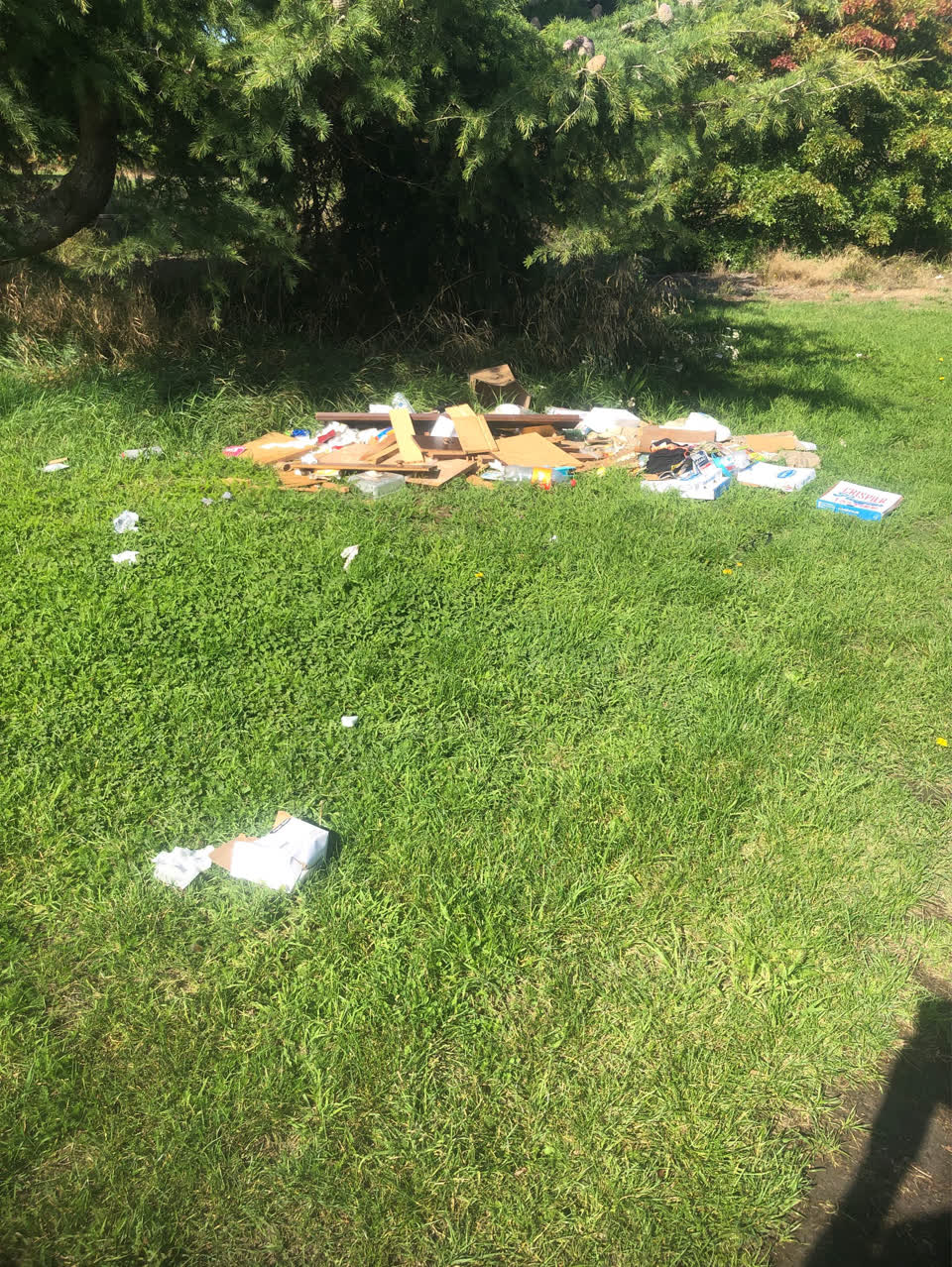 The photograph attached to this rubbish/recycling report