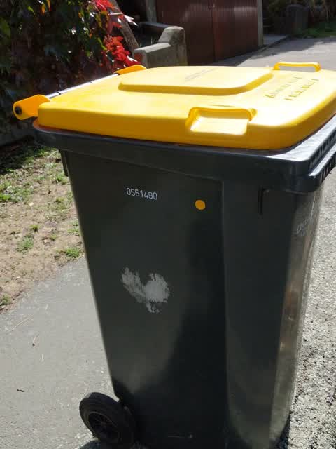 Rubbish/Recycling, a report photo