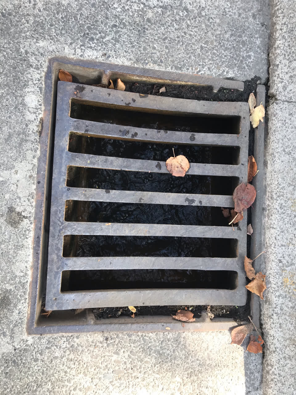 The photograph attached to this wastewater/stormwater report