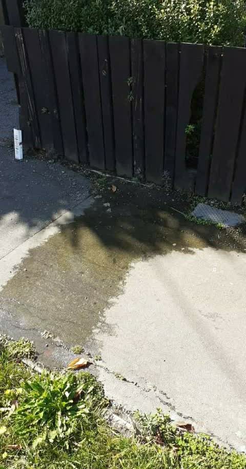 Water Supply, a report photo