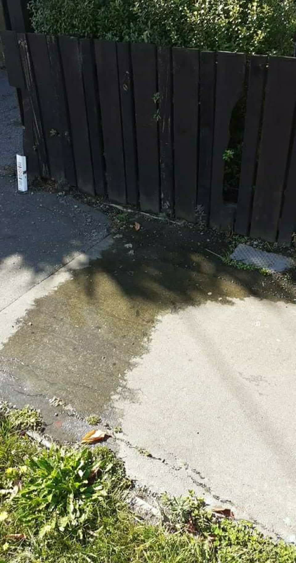 The photograph attached to this water supply report