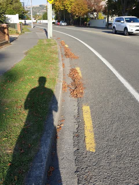 Roading/Streets, a report photo