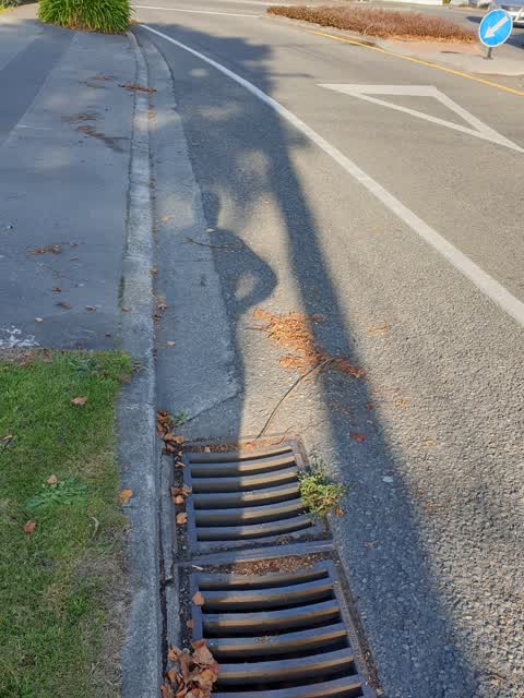Roading/Streets, a report photo