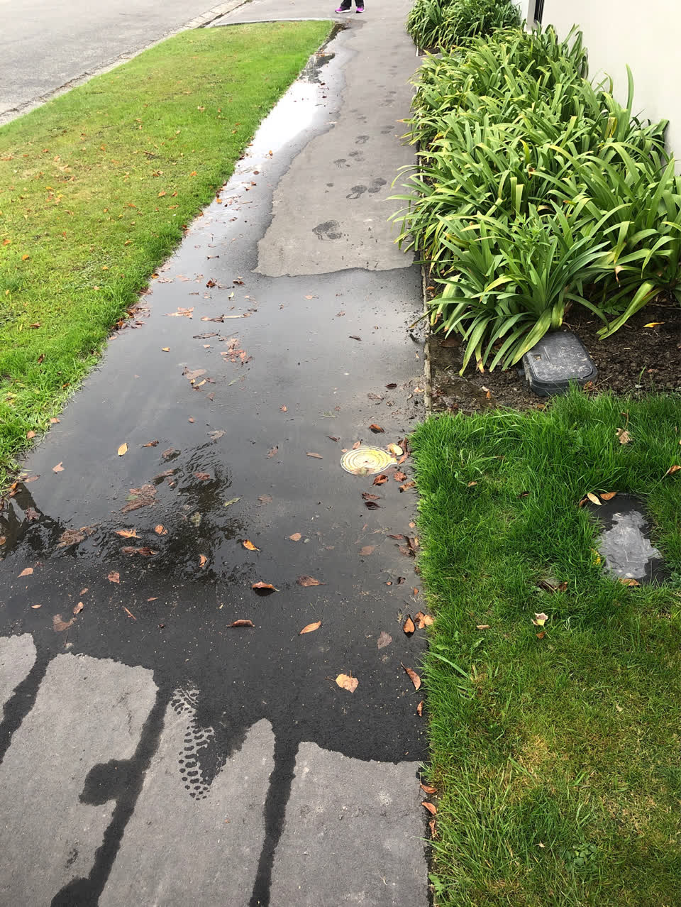 The photograph attached to this water supply report