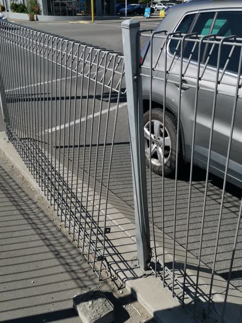 Roading/Streets, a report photo