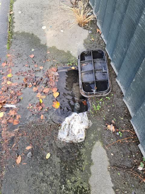 Water Supply, a report photo