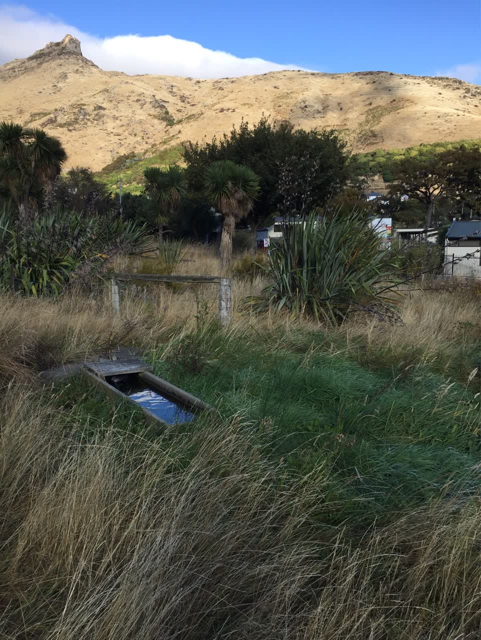 The photograph attached to this flooding report