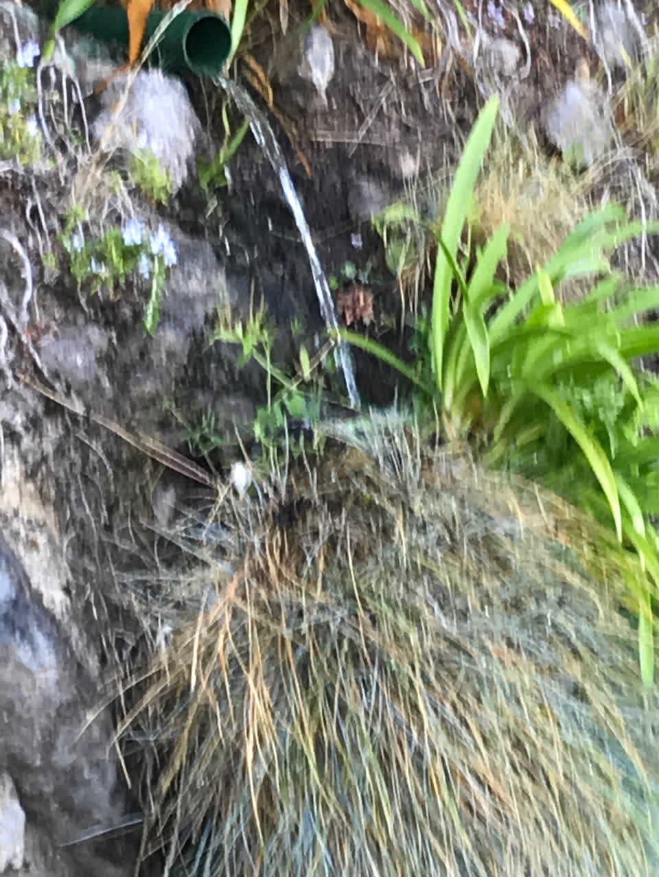 The photograph attached to this flooding report