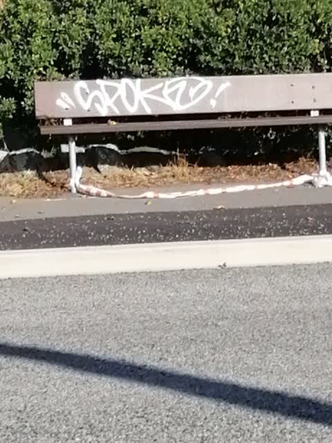 Graffiti, a report photo