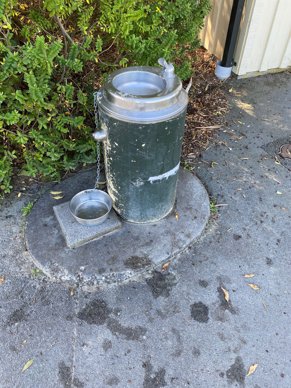 The photograph attached to this water supply report