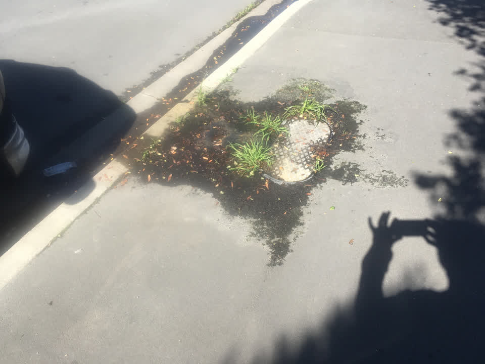 The photograph attached to this water supply report