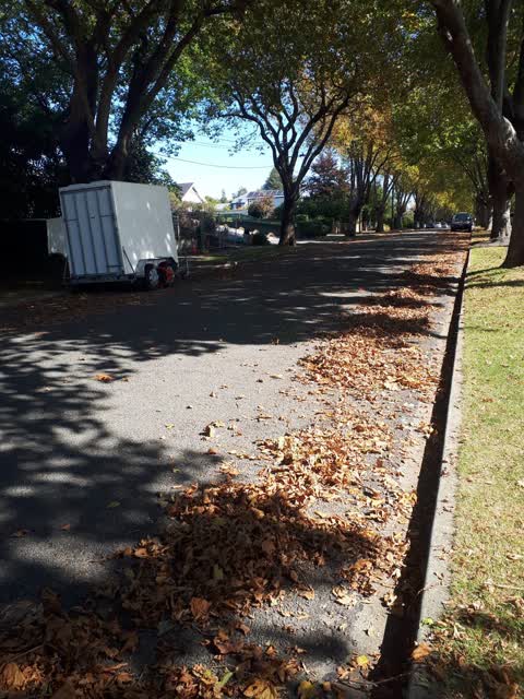 Roading/Streets, a report photo