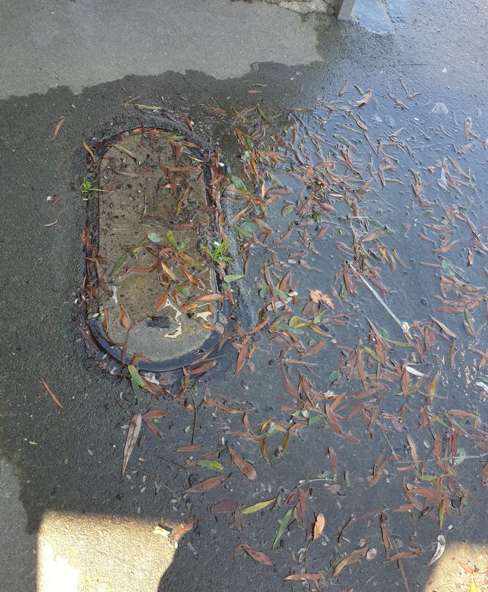 The photograph attached to this water supply report