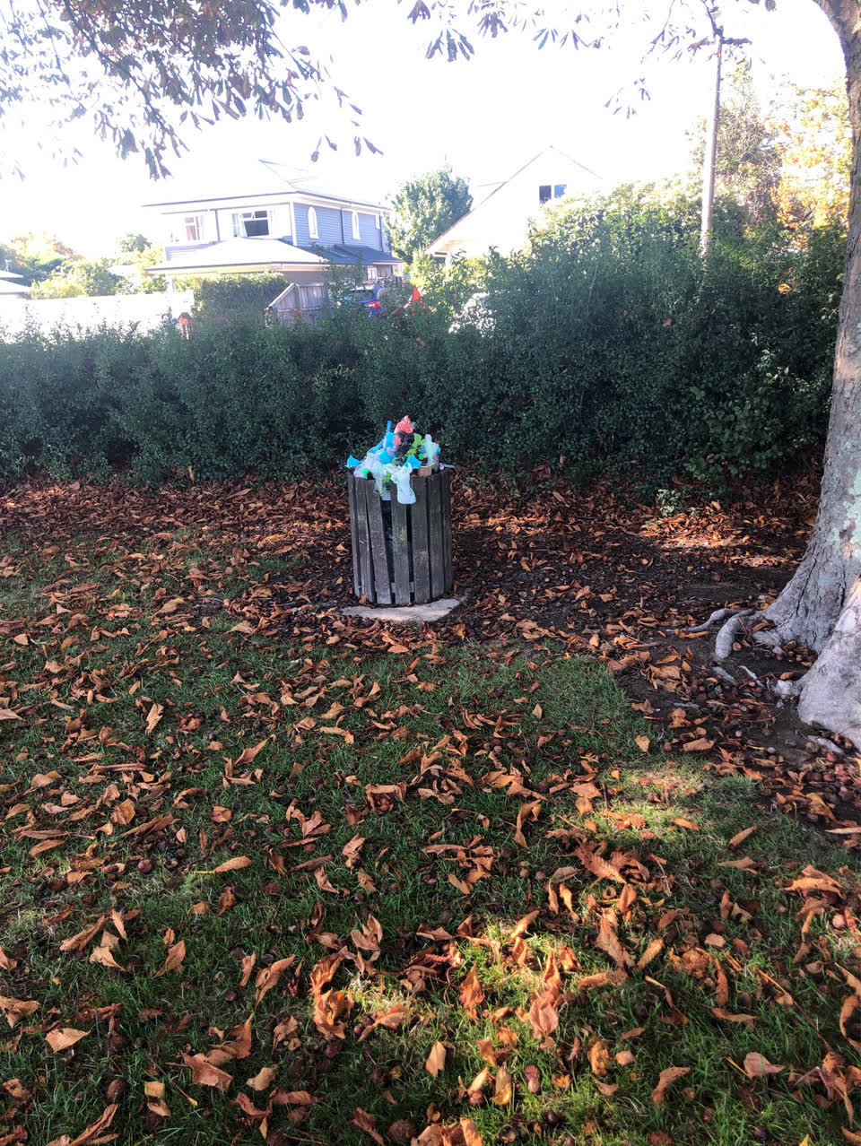The photograph attached to this parks report