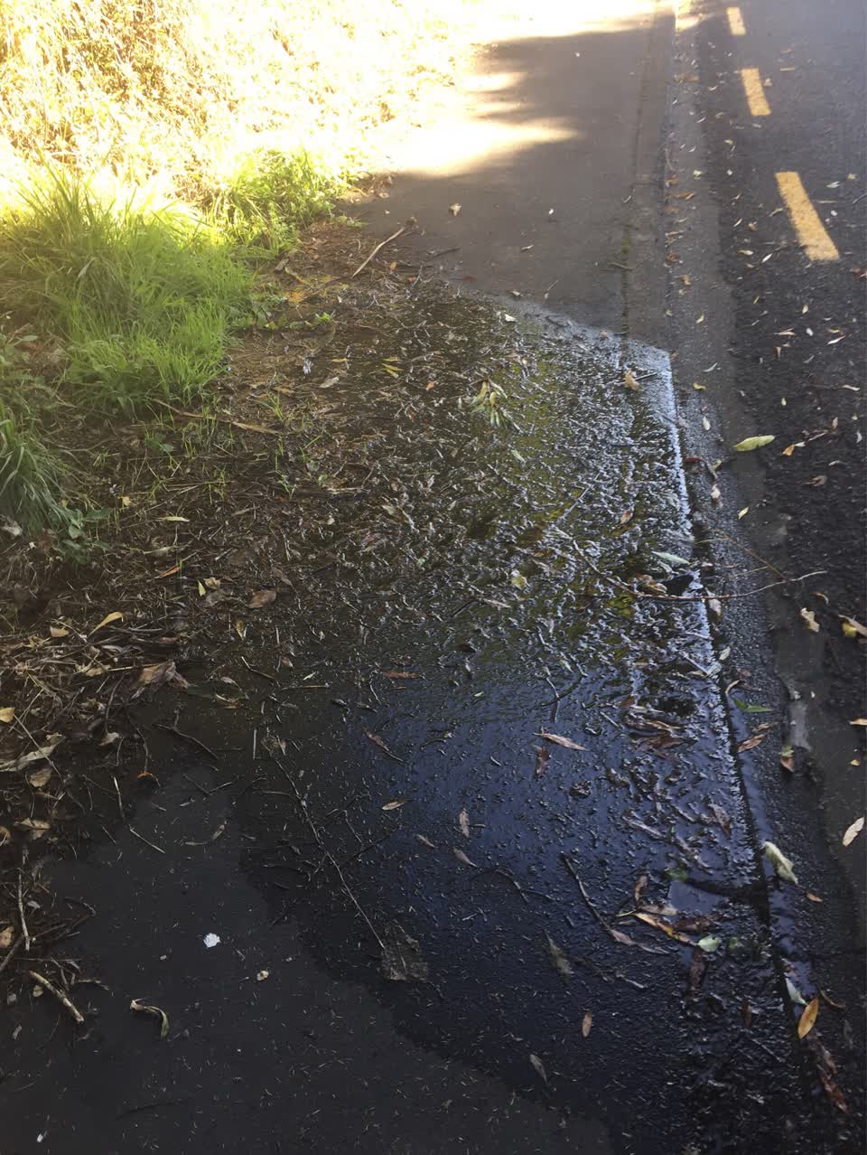 The photograph attached to this water supply report