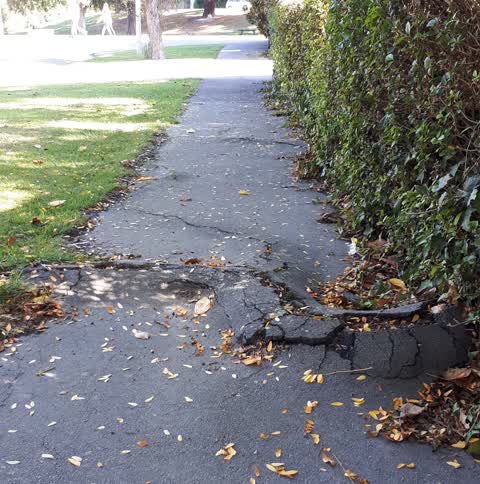 Roading/Streets, a report photo