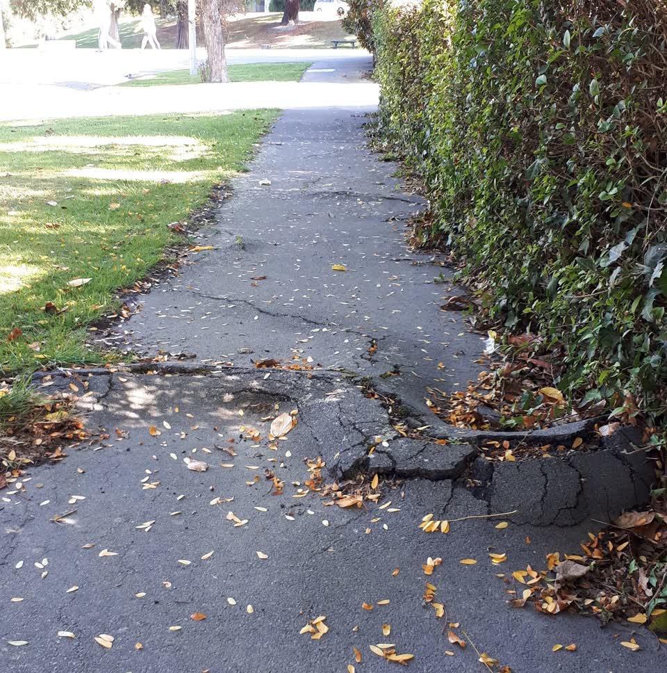 The photograph attached to this roading/streets report