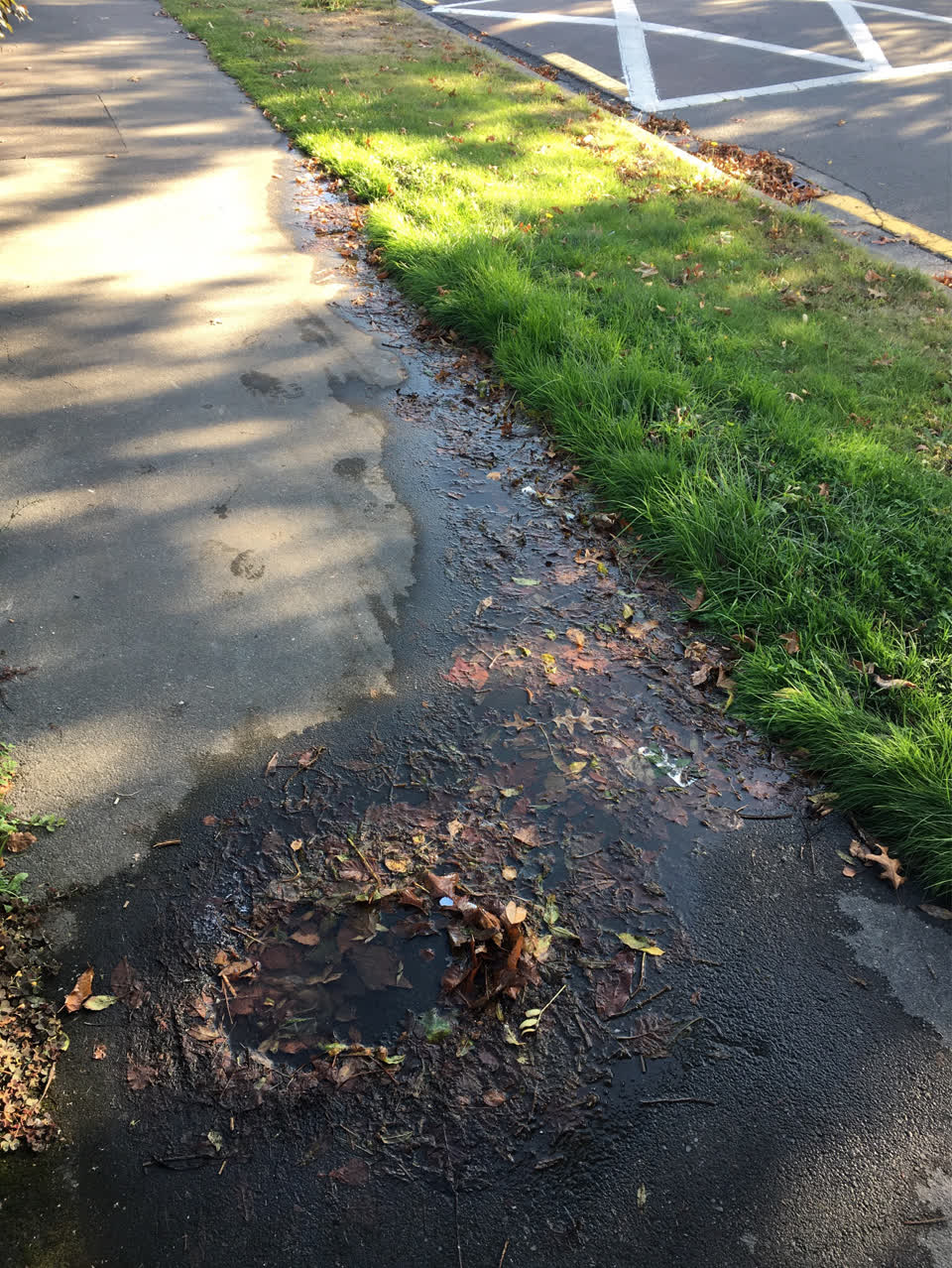 The photograph attached to this water supply report