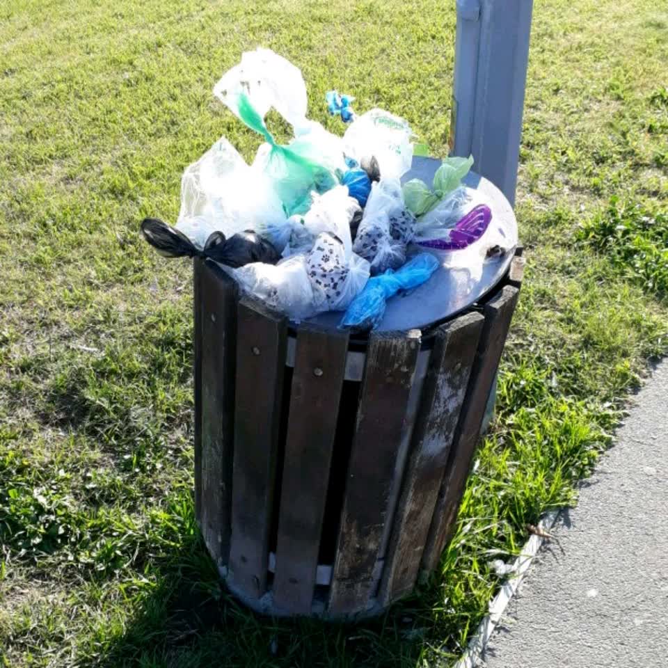 The photograph attached to this rubbish/recycling report