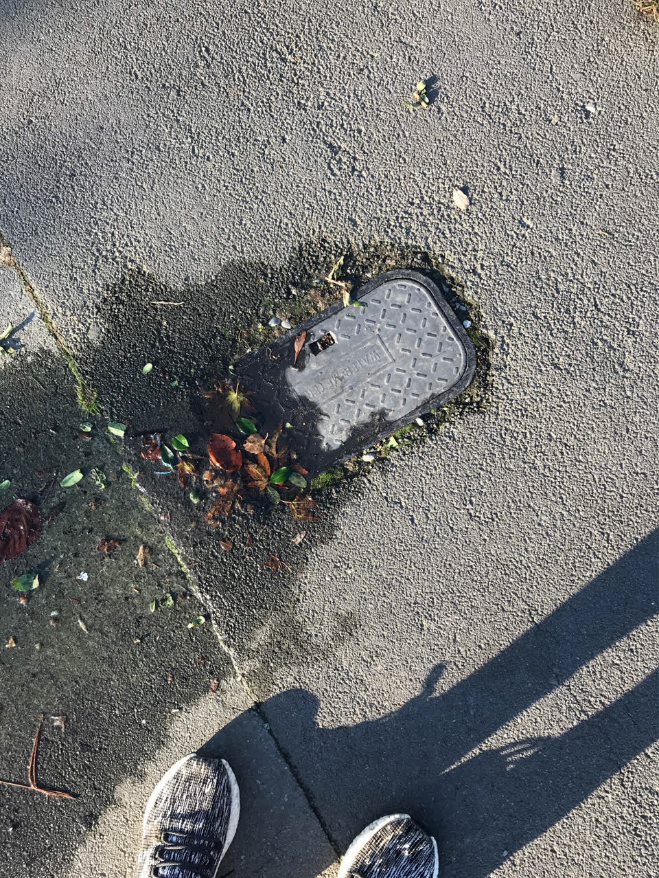 The photograph attached to this water supply report