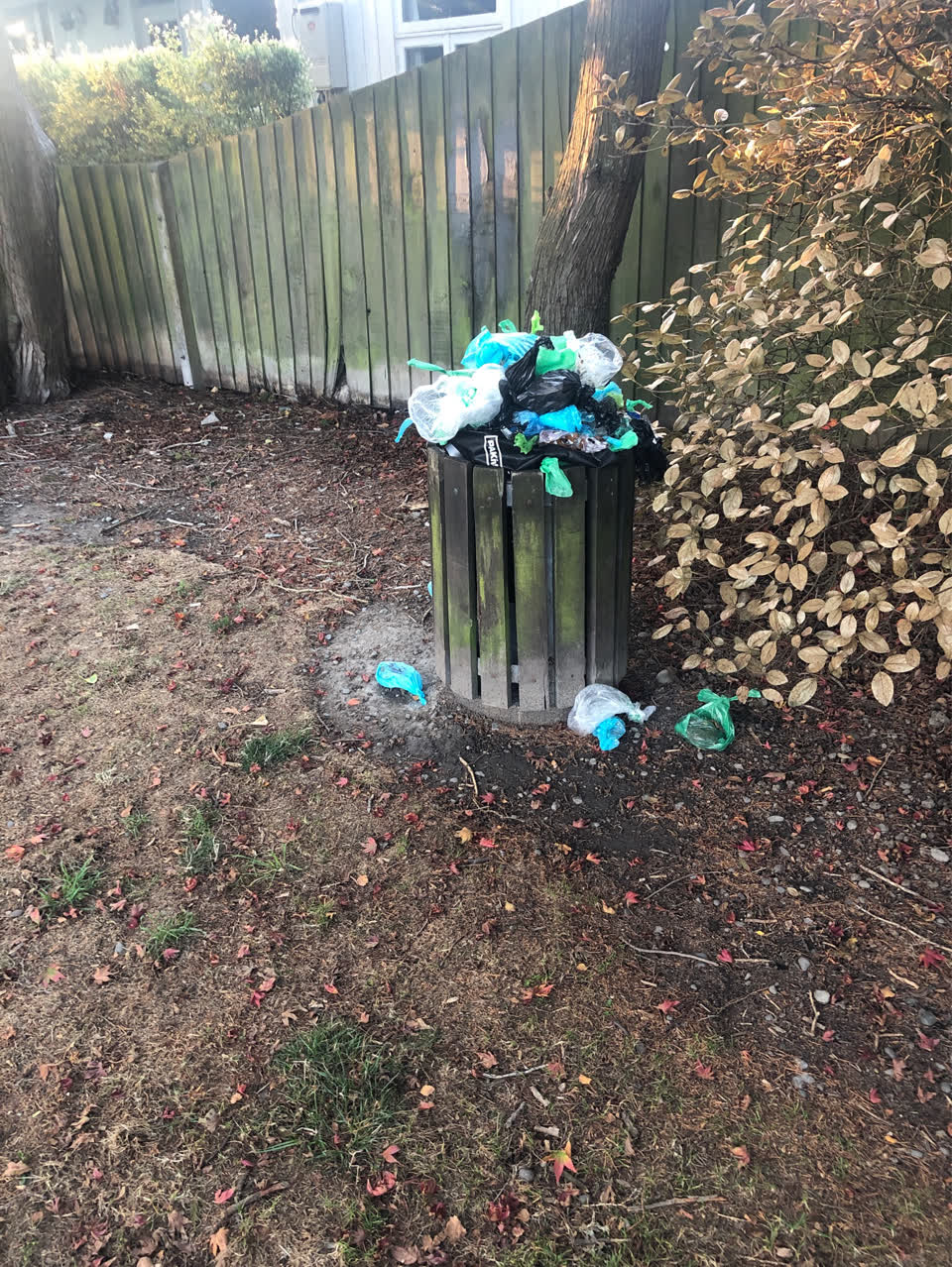 The photograph attached to this rubbish/recycling report