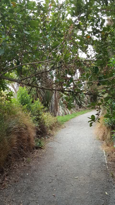 Parks, a report photo