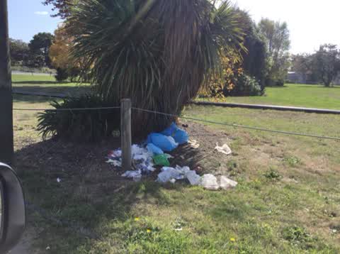 Rubbish/Recycling, a report photo