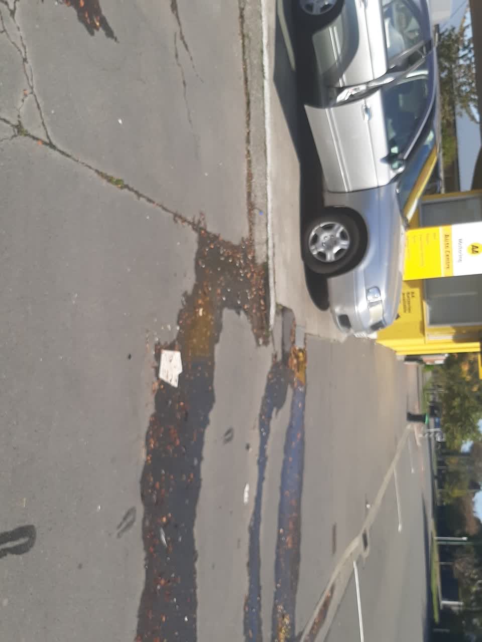 The photograph attached to this water supply report