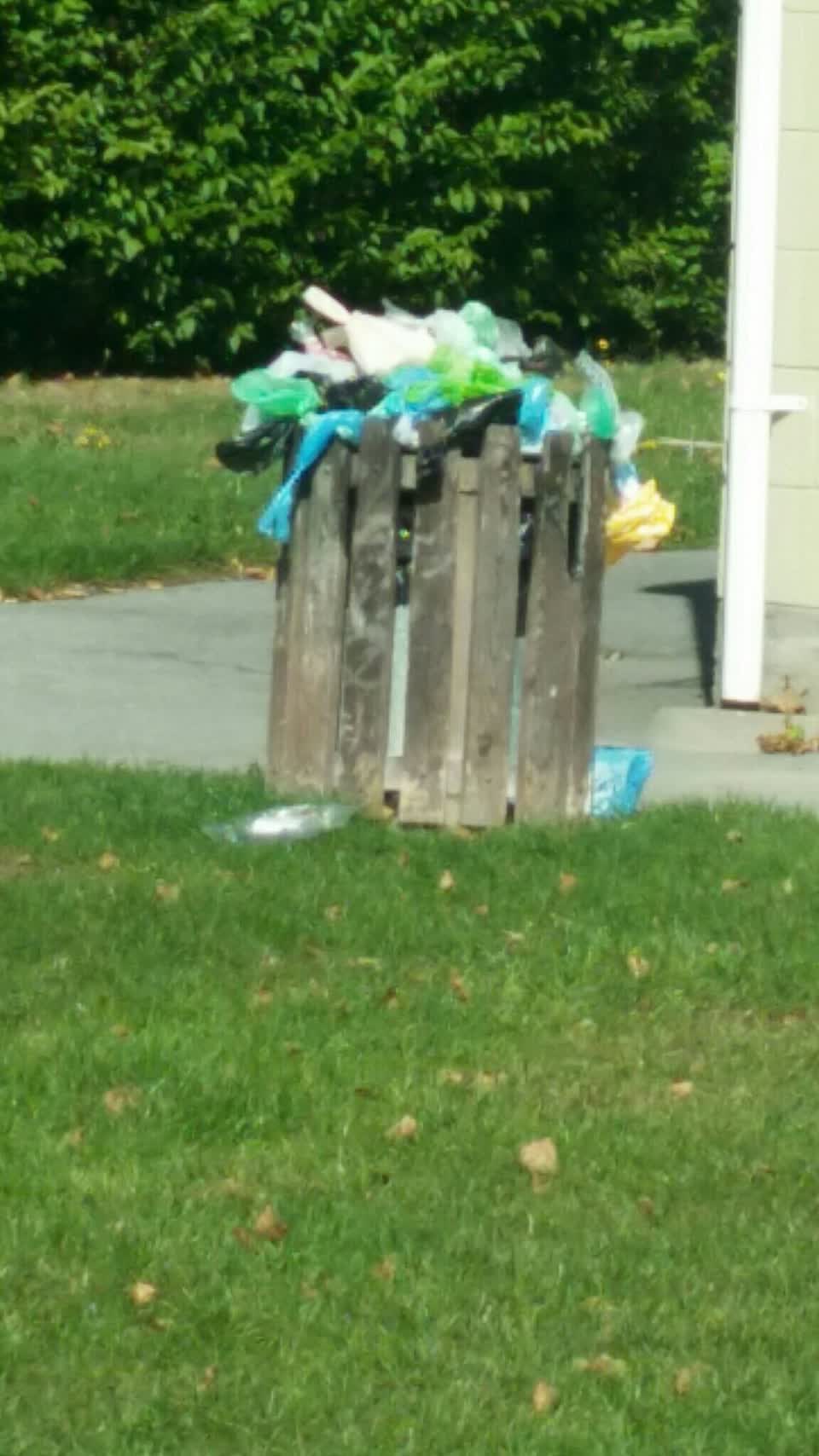 The photograph attached to this rubbish/recycling report