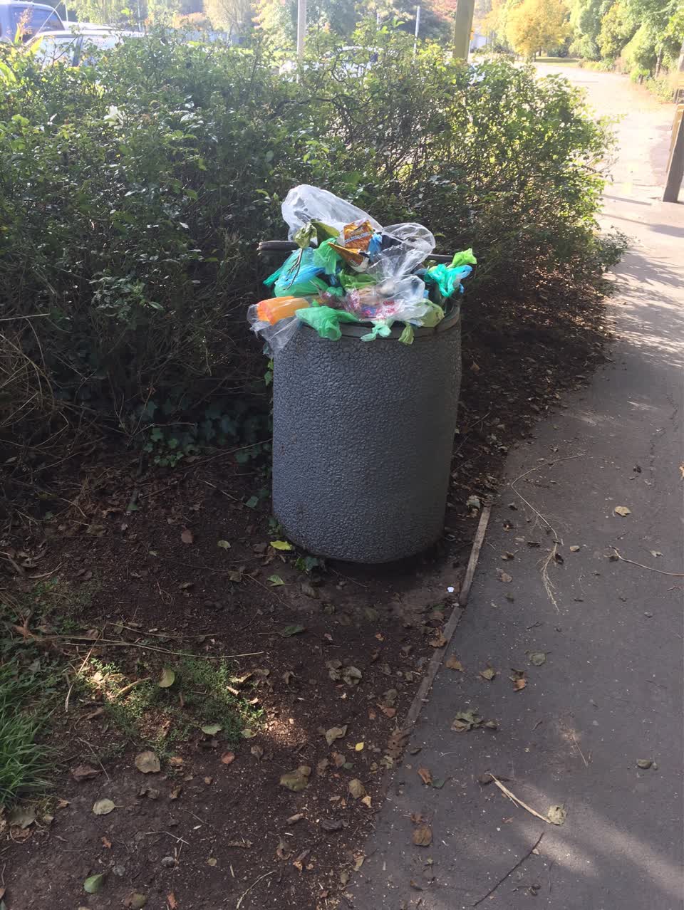 The photograph attached to this rubbish/recycling report