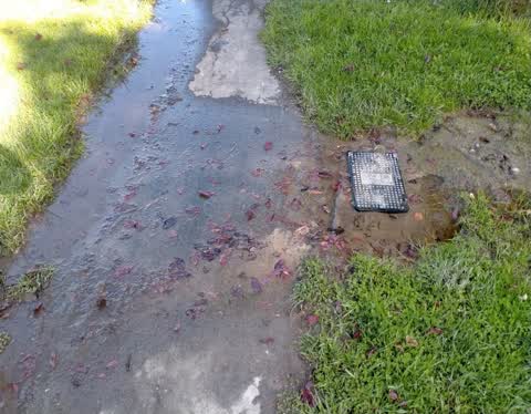 Water Supply, a report photo