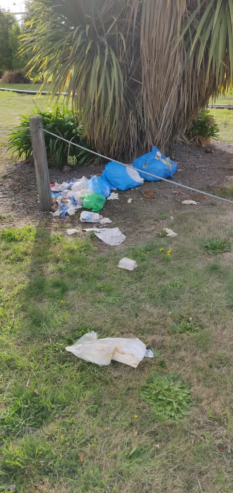 Rubbish/Recycling, a report photo