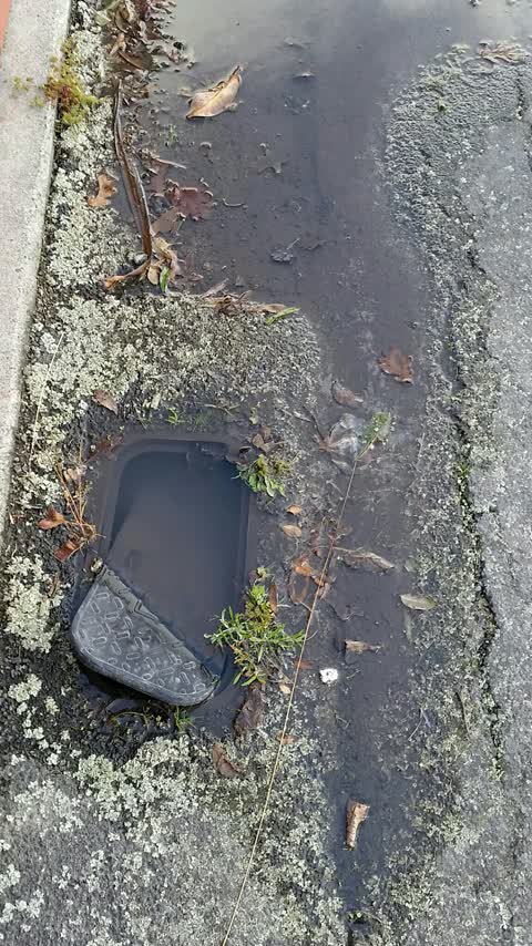 Water Supply, a report photo