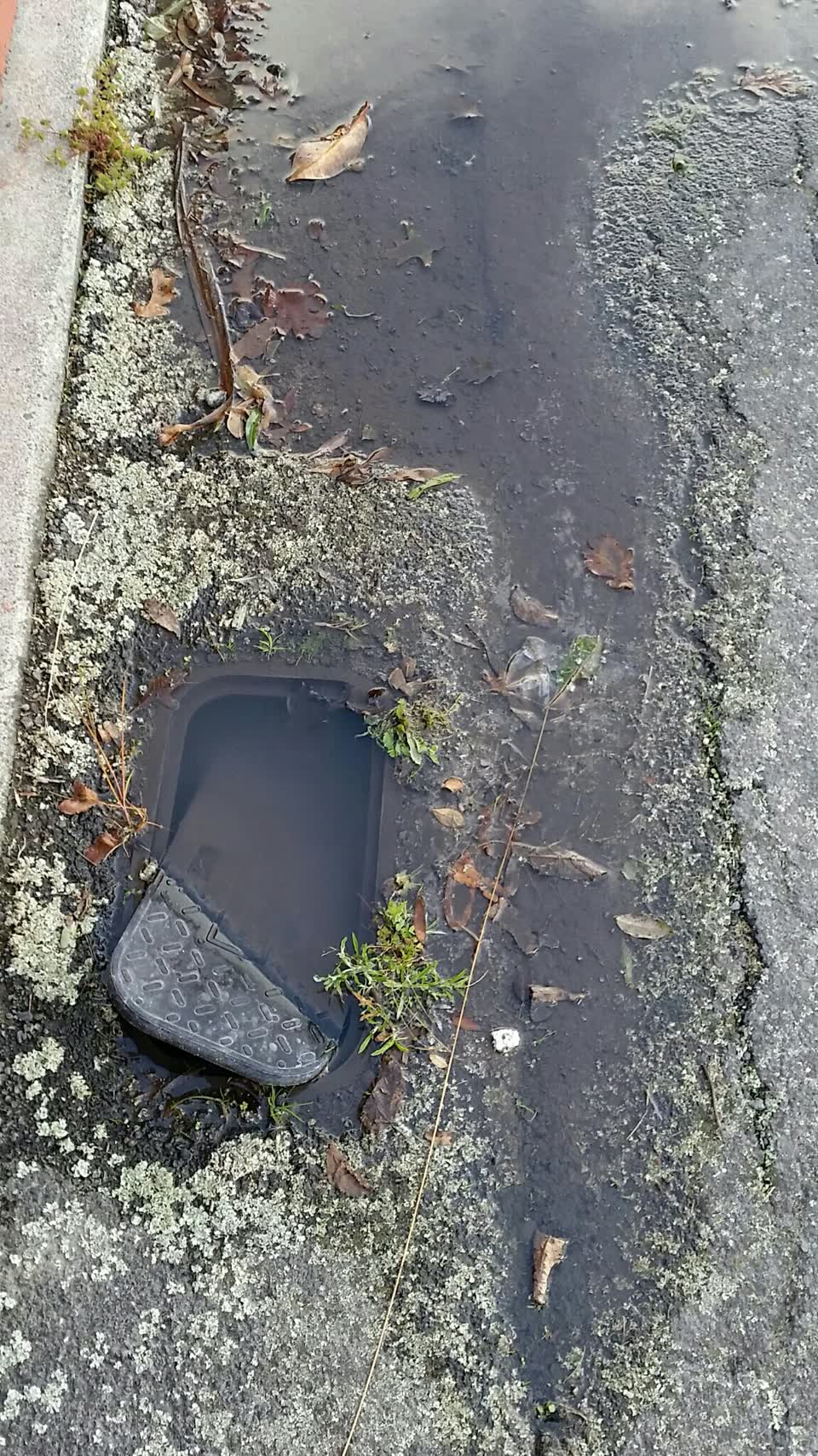 The photograph attached to this water supply report