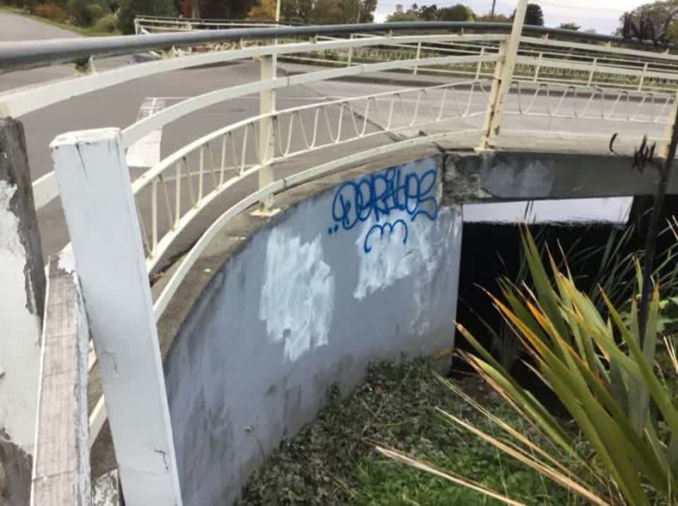The photograph attached to this graffiti report