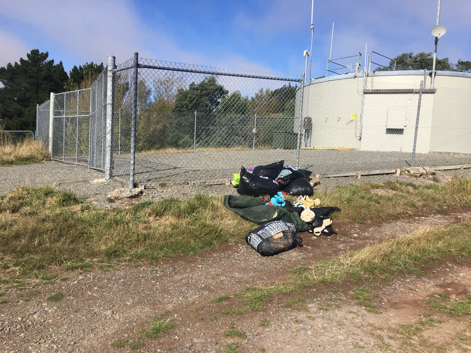 The photograph attached to this rubbish/recycling report