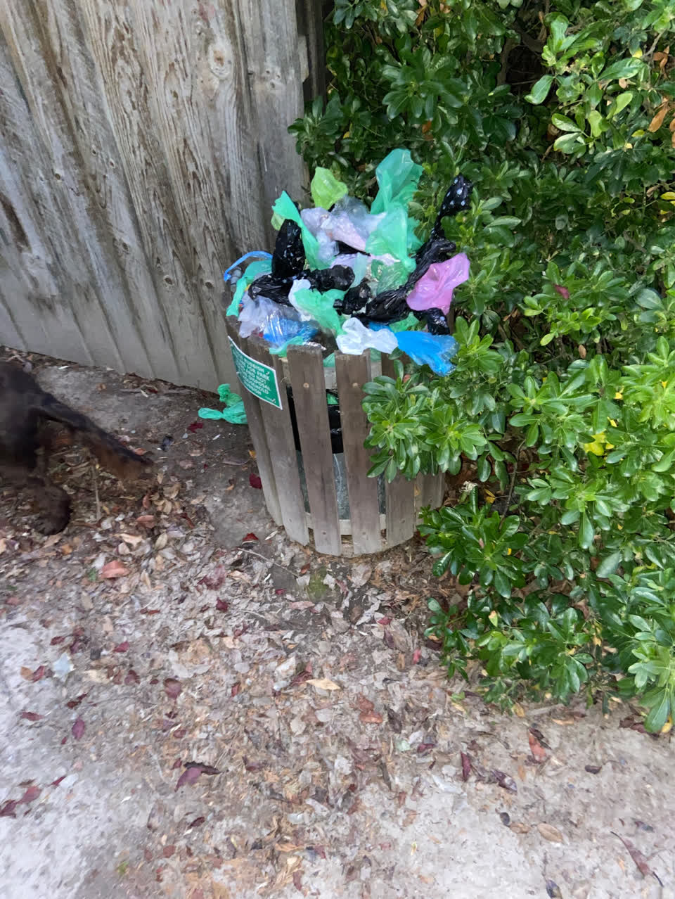 The photograph attached to this parks report