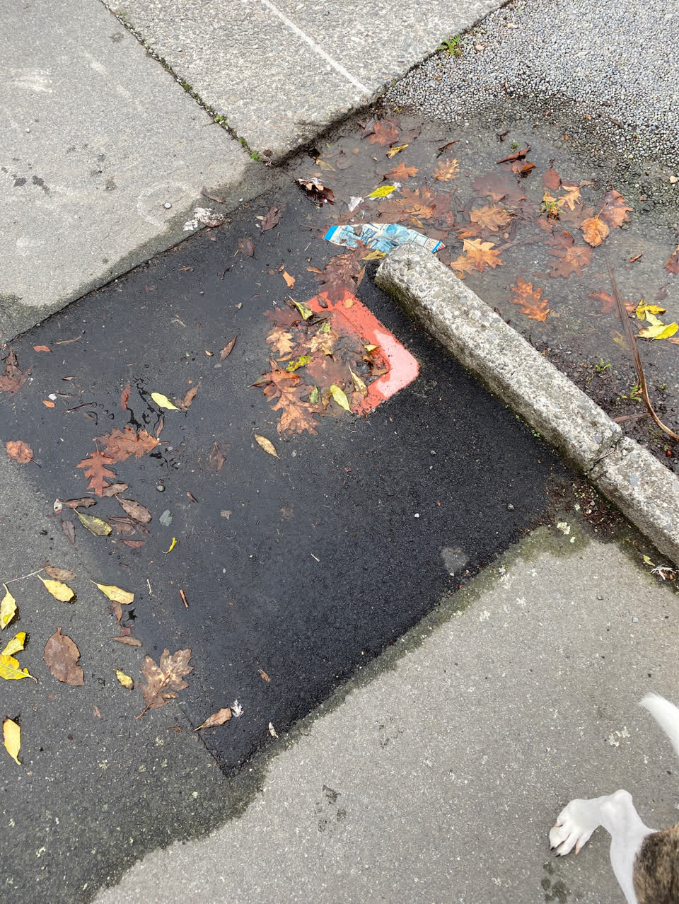The photograph attached to this water supply report