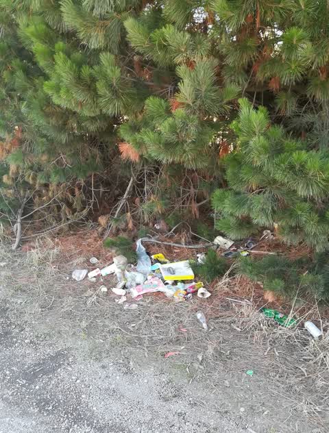 Rubbish/Recycling, a report photo