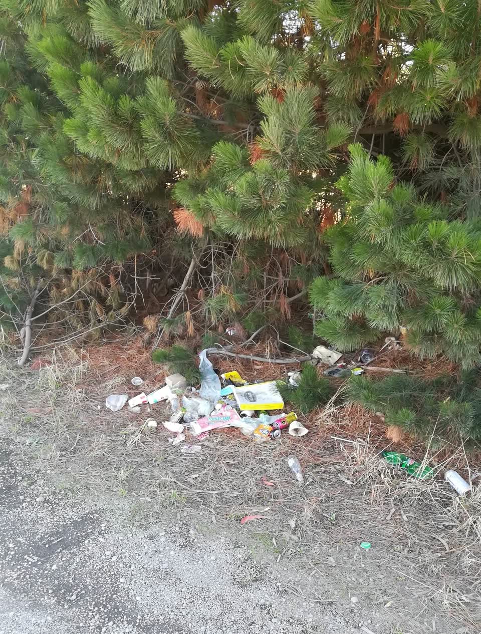The photograph attached to this rubbish/recycling report