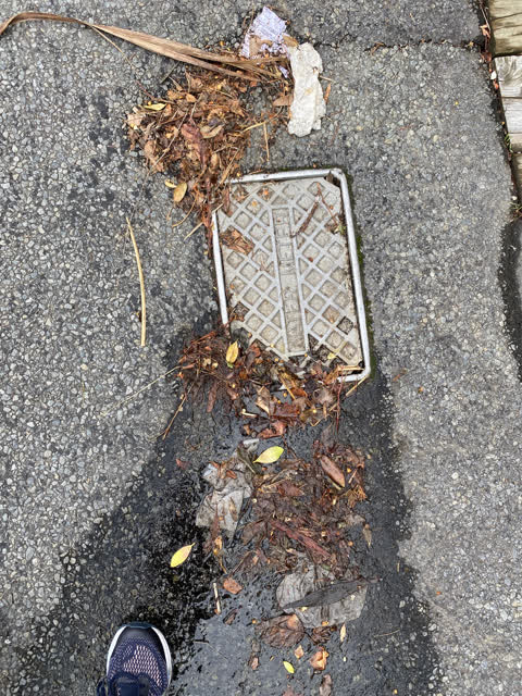 Flooding, a report photo