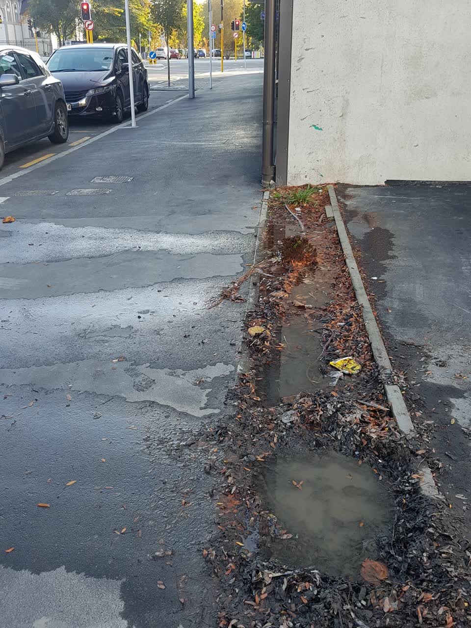 The photograph attached to this water supply report