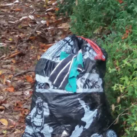 Rubbish/Recycling, a report photo
