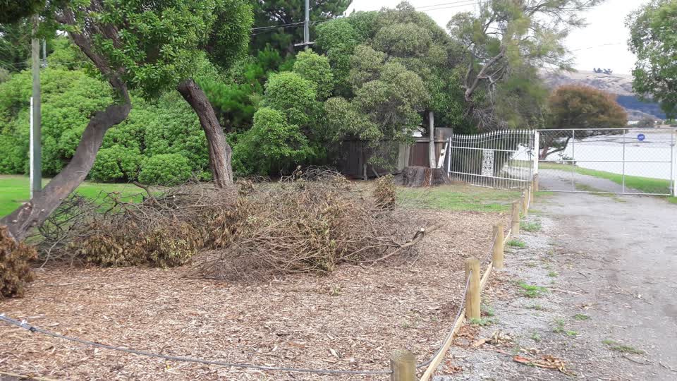 The photograph attached to this parks report